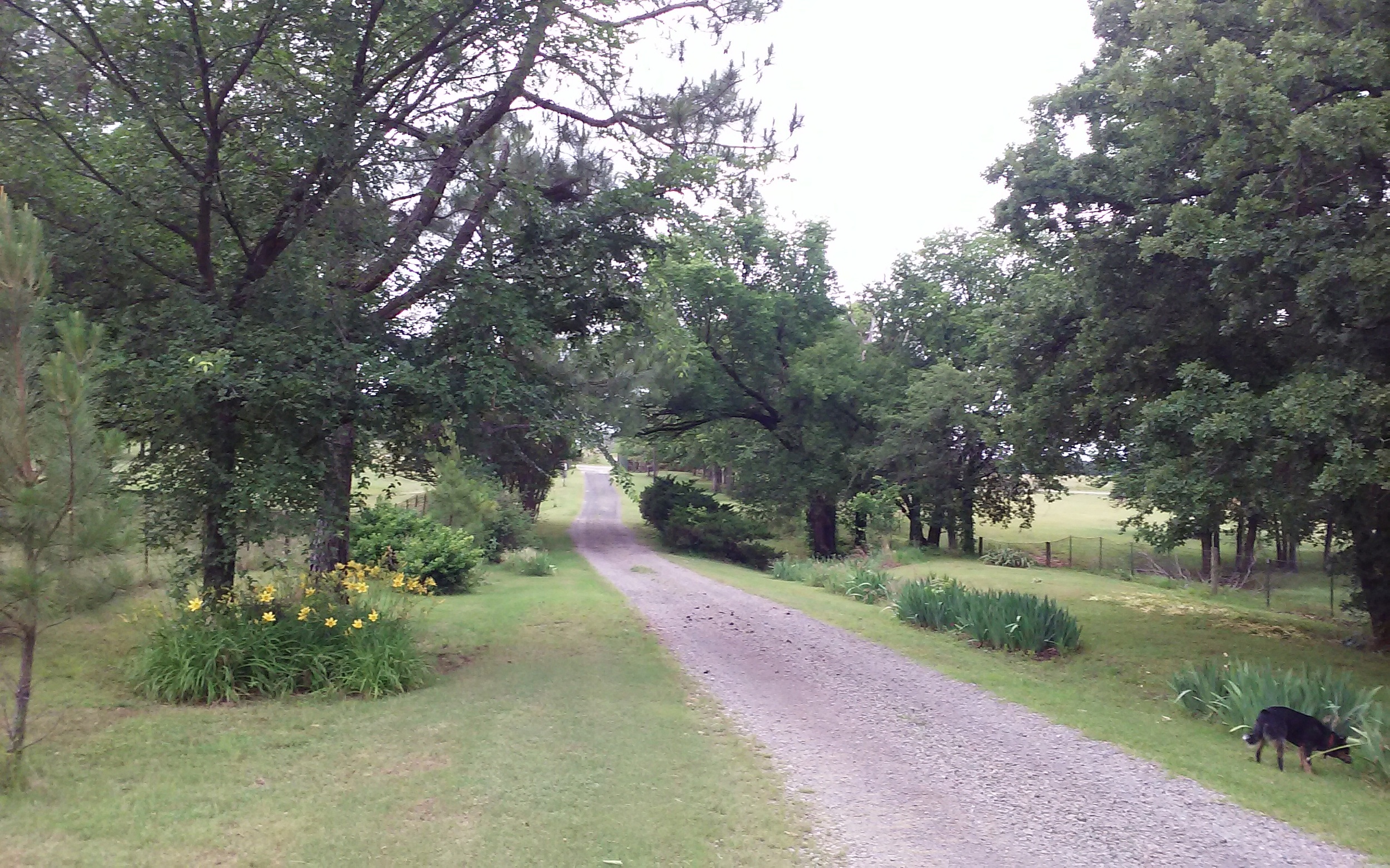 20160524_185540.jpg
