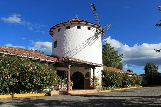 Tadeo.jpg