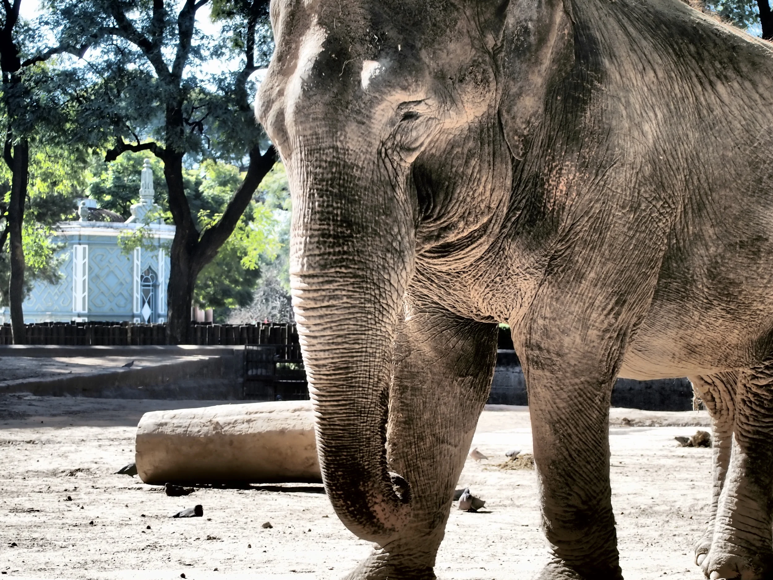 buenos aires and start of summer 153.JPG