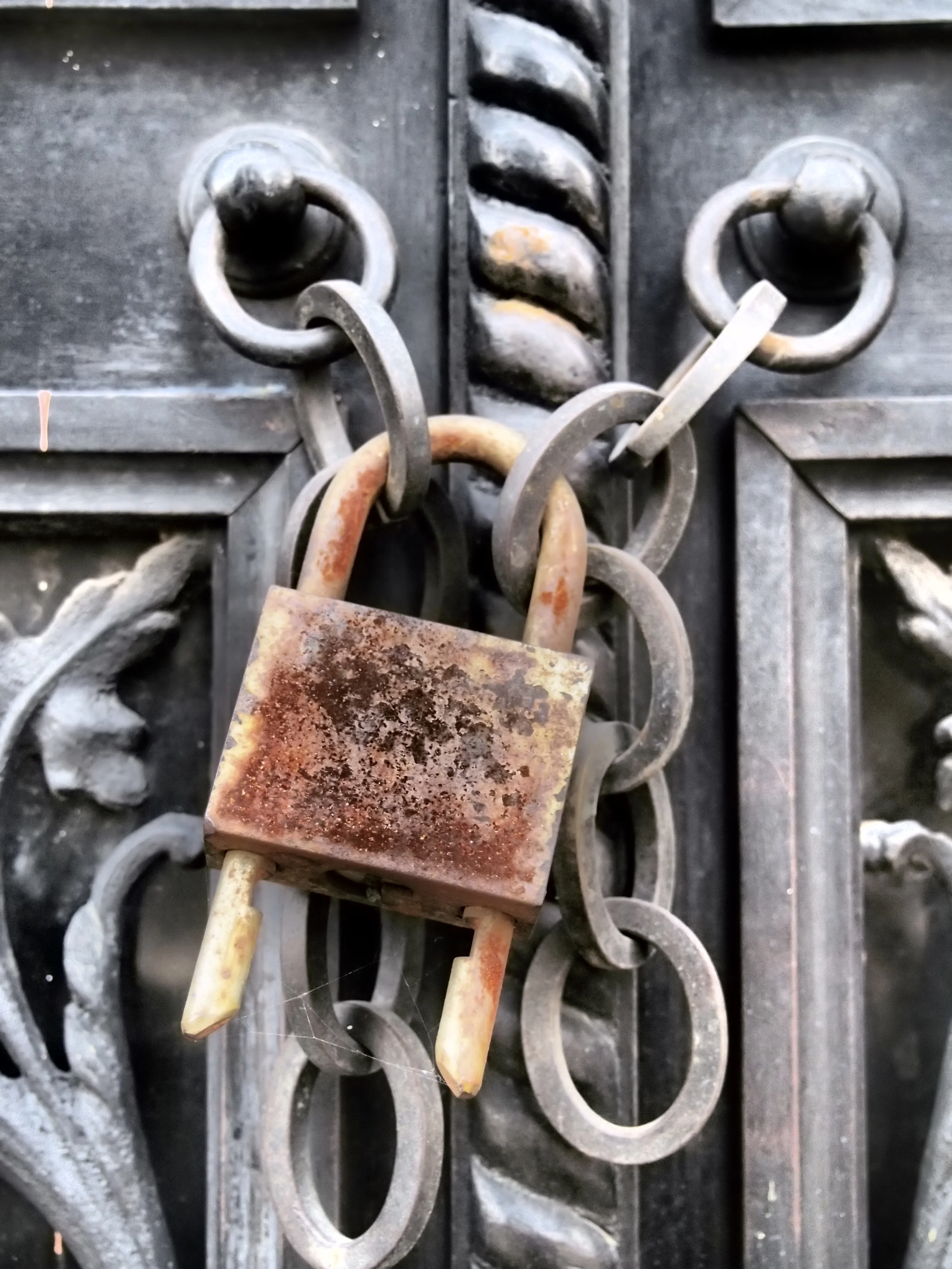 south americazz 2623.JPG