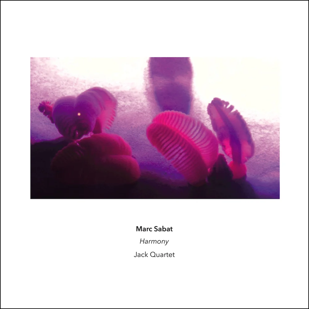 MARC SABAT Euler Lattice Spirals Scenery Claudius Ptolemy Jean Philippe Rameau MORE INFORMATION