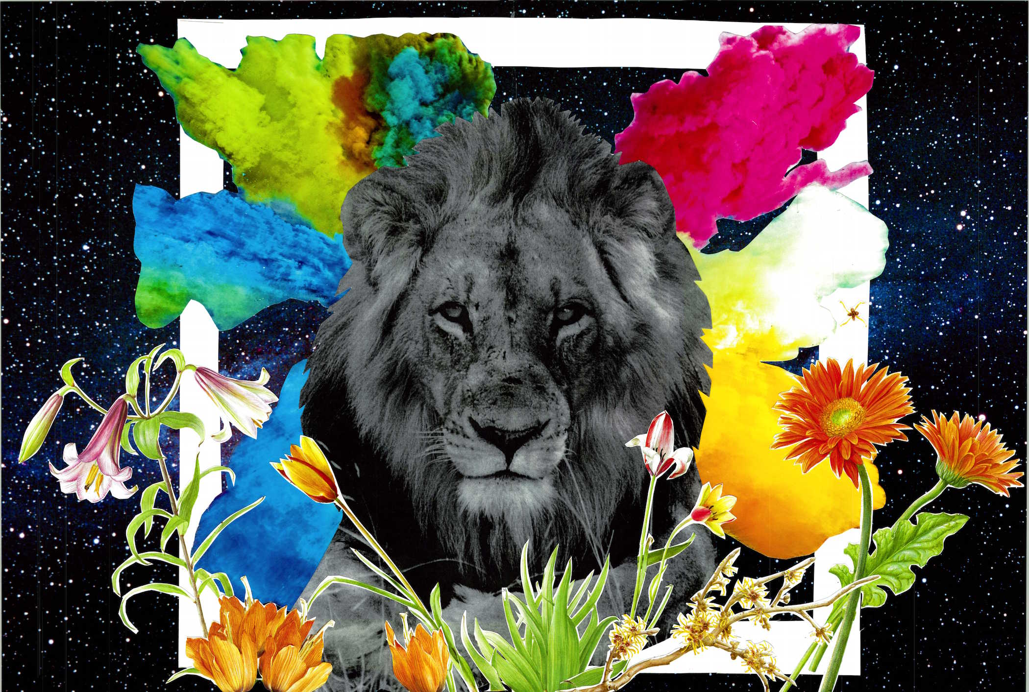 We are the Lions by Maghan McDowell.jpg