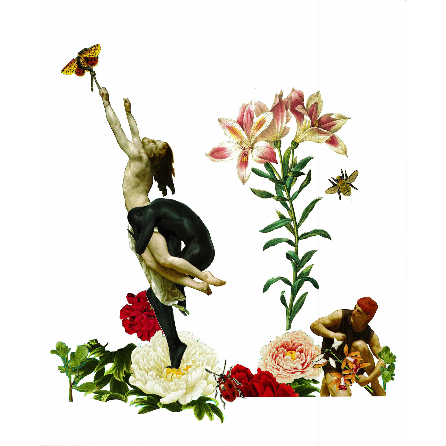 Sweet Sorrow by Maghan McDowell.jpg