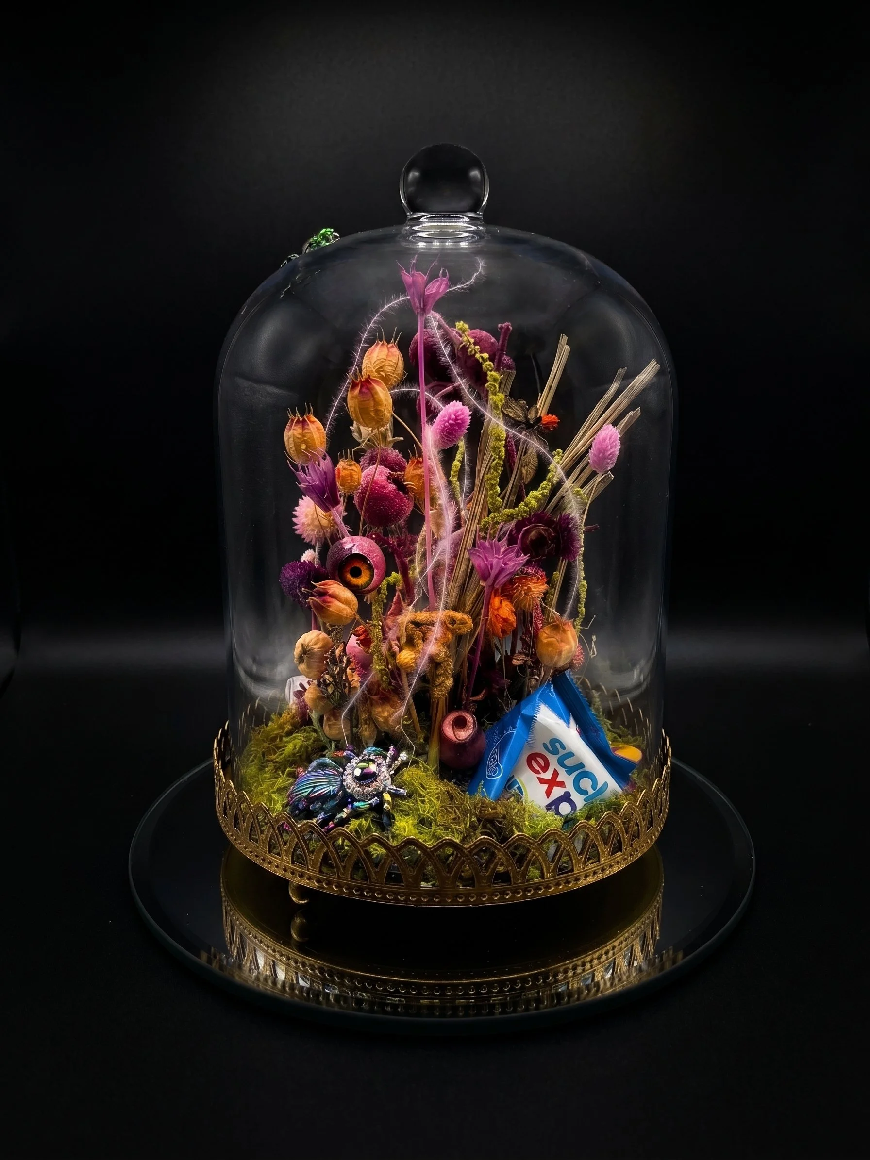 Maghan McDowell flowers terrarium (KE).jpg