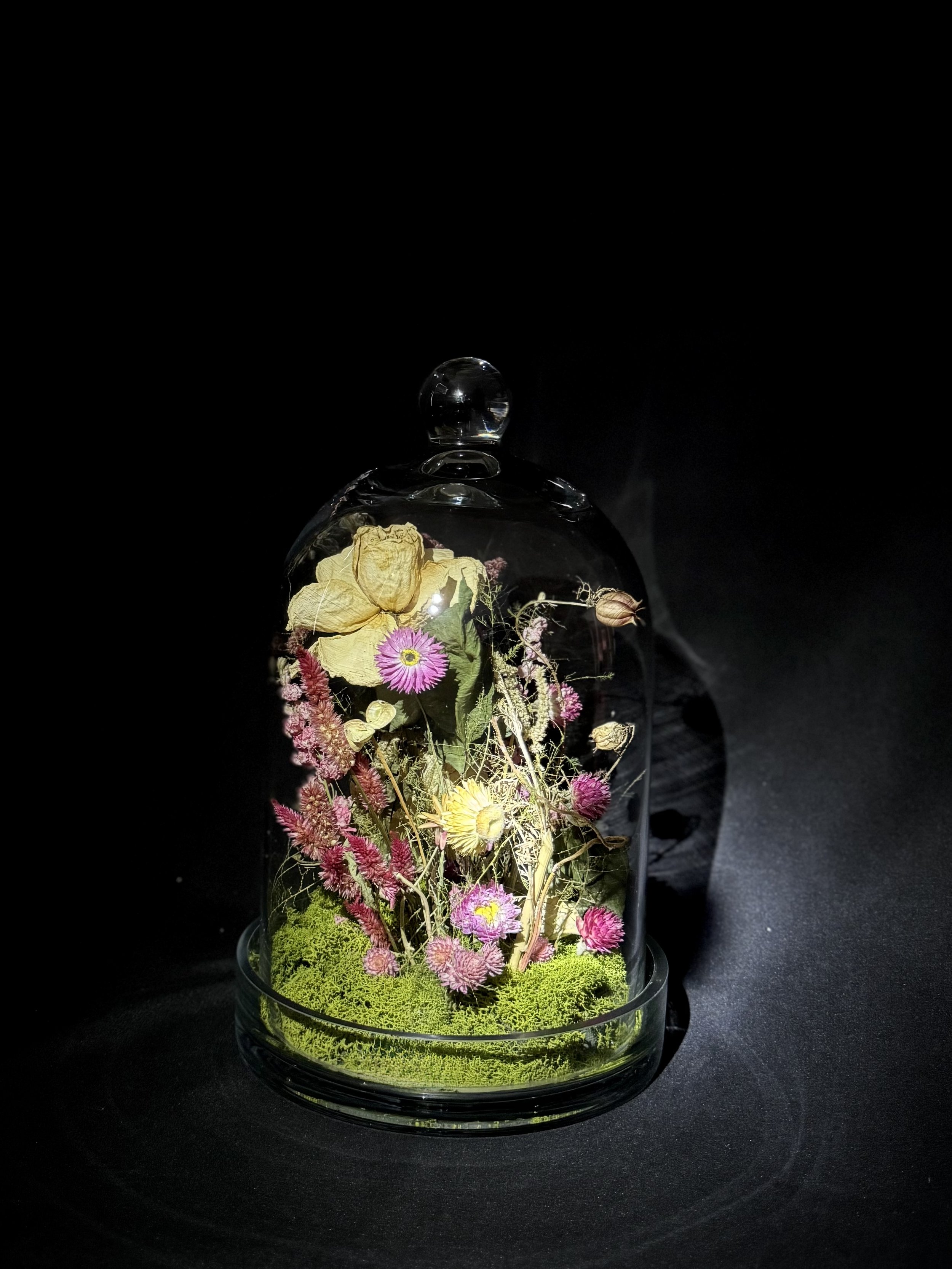 Maghan McDowell flowers terrarium MM.jpeg