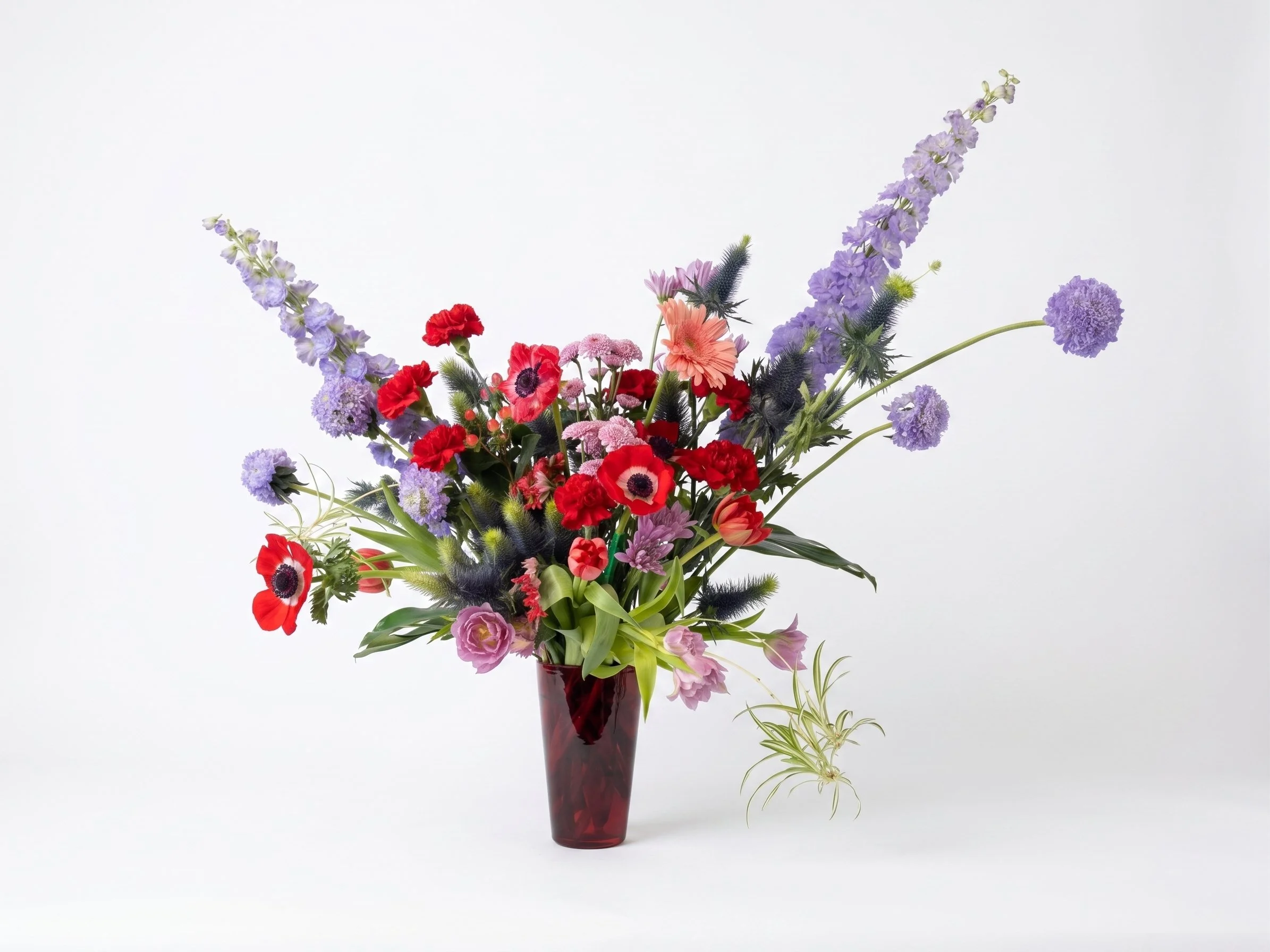 Maghan McDowell flowers purple red.jpg