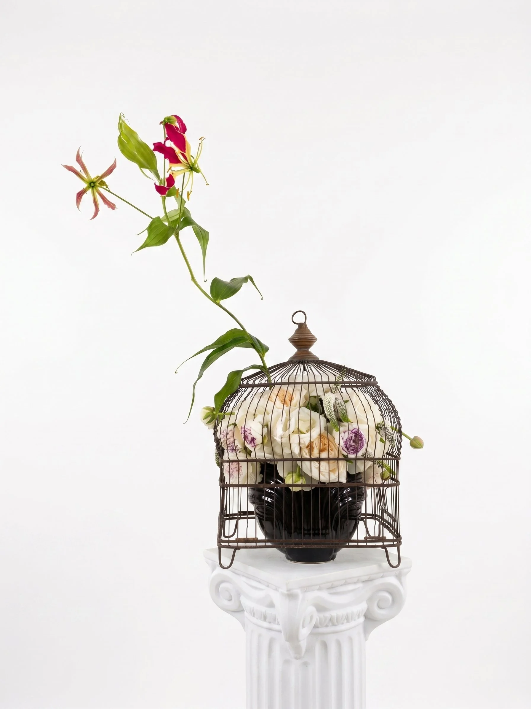 Maghan McDowell flowers birdcage.jpg