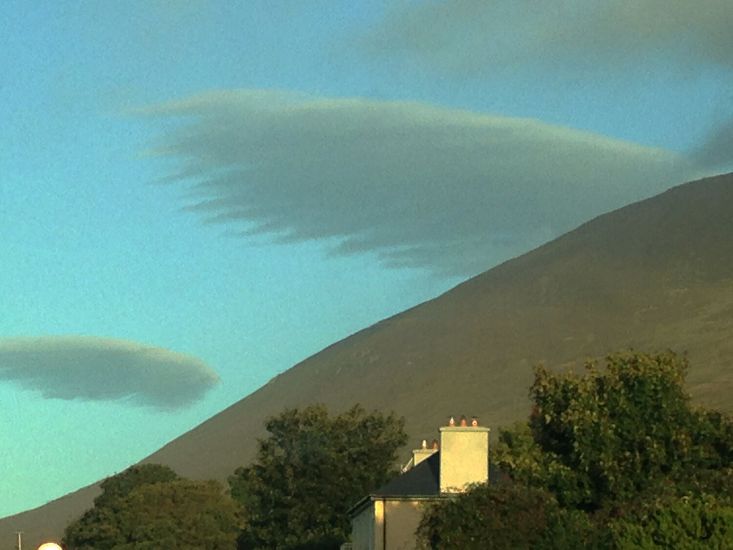 Angel Wings Comin Up, Knockglass More, Tralee, Ireland.  2016