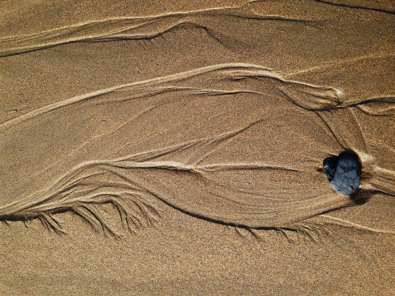 Reclining, Miultown Malbay - Spanish Point, Ireland.  2016