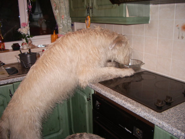 ~ “my turn to wash up?”