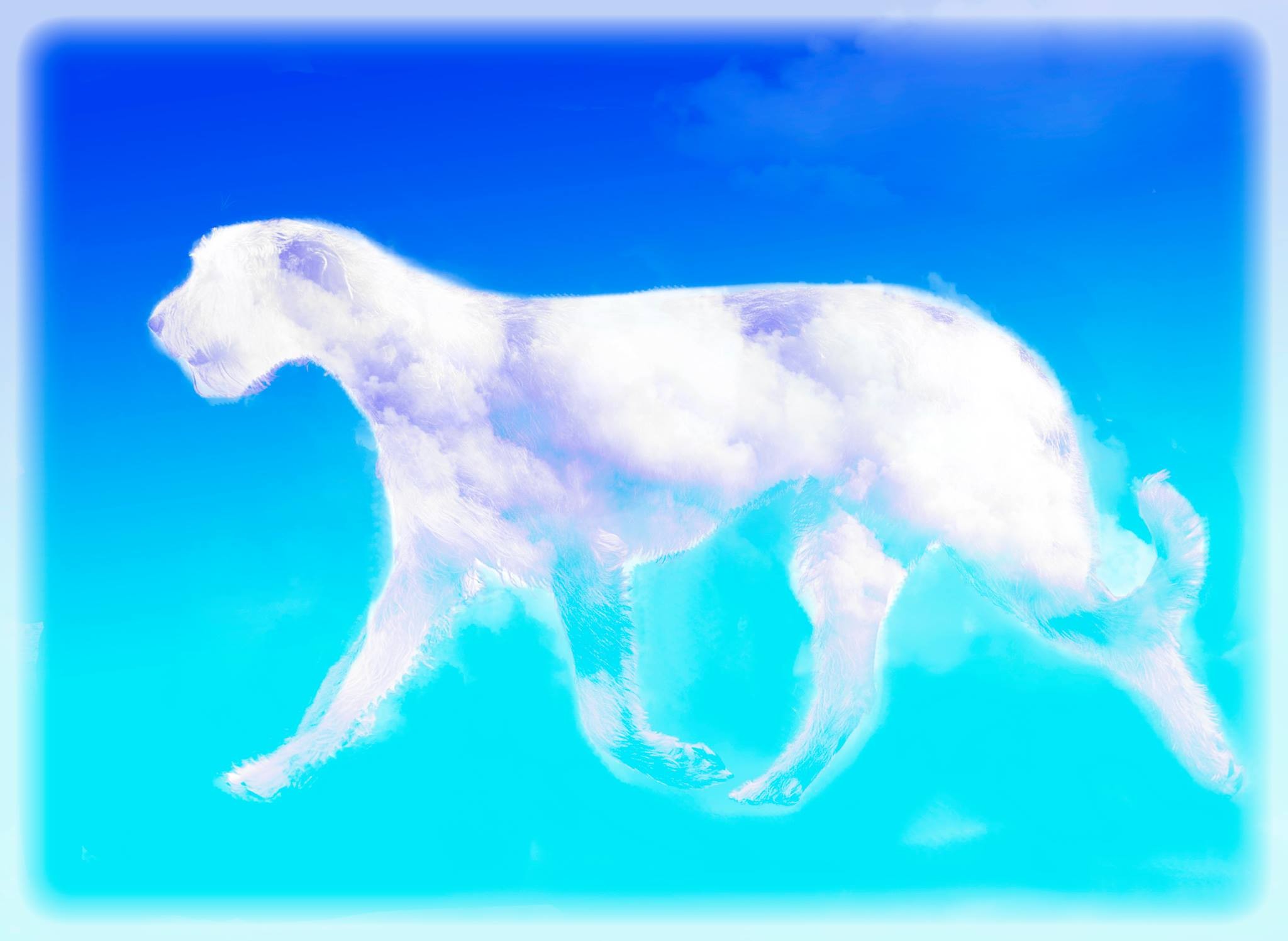 Pollyanna - image created by Gary Bee
