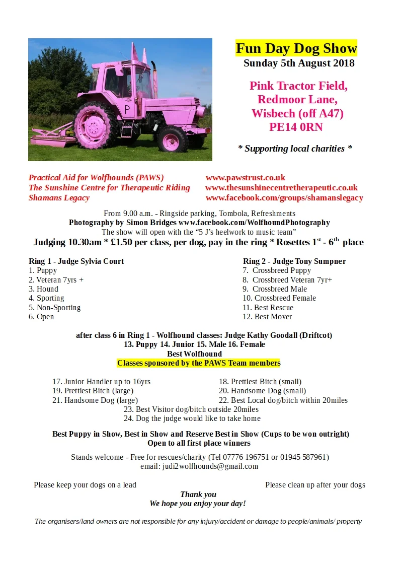 Judi' Fun Day 2018.jpg