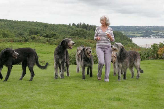 Elaine & hounds.jpg