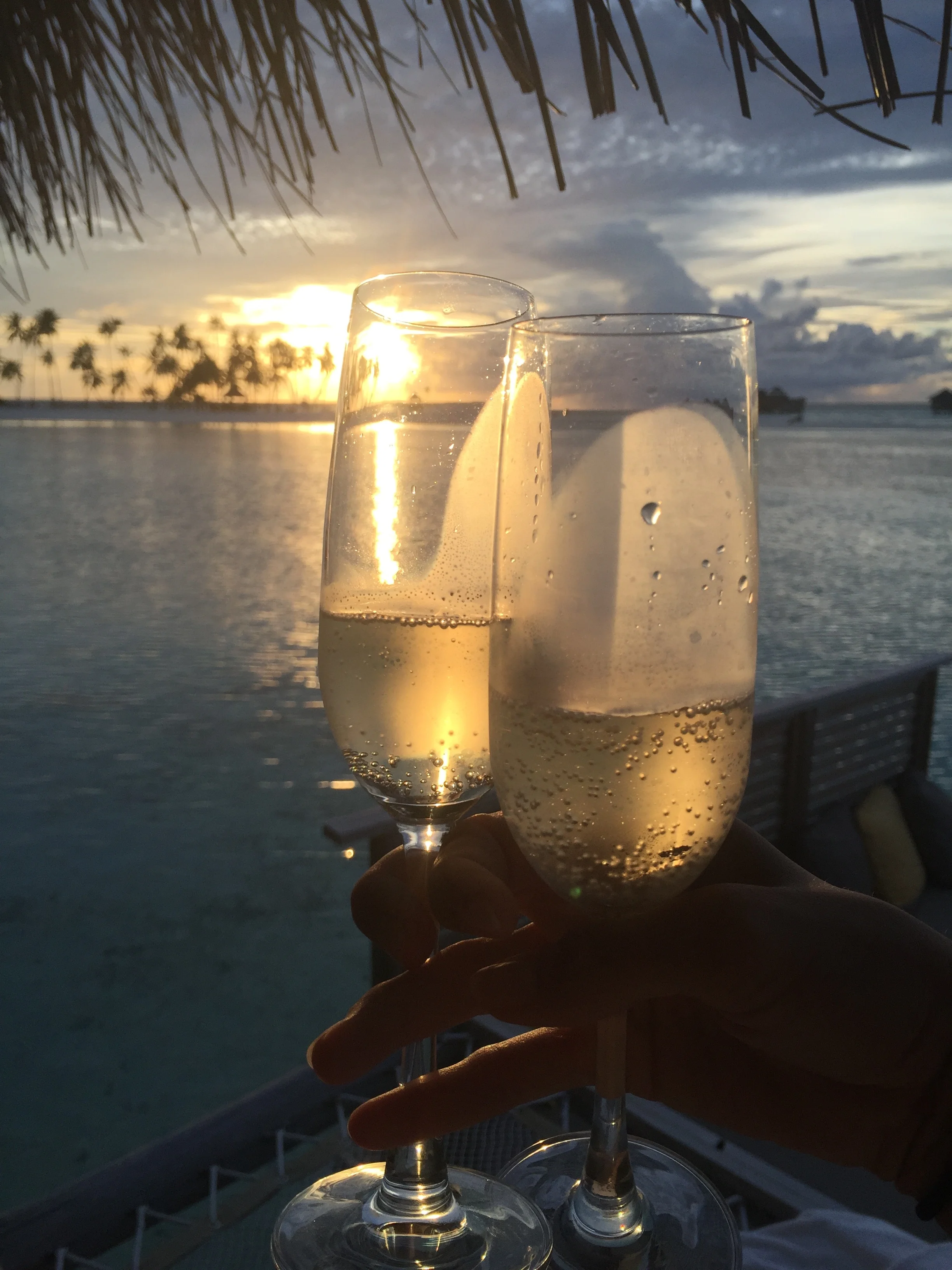 Cheers to an incredible honeymoon!