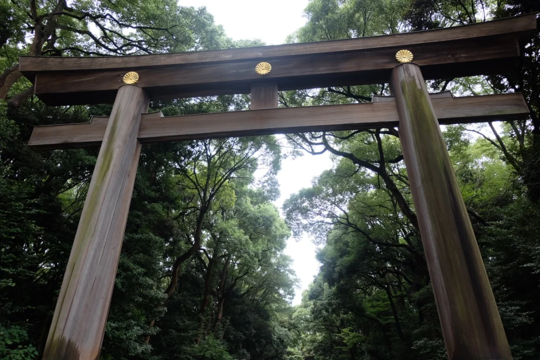 The walk to the stunning Meji Shrine 
