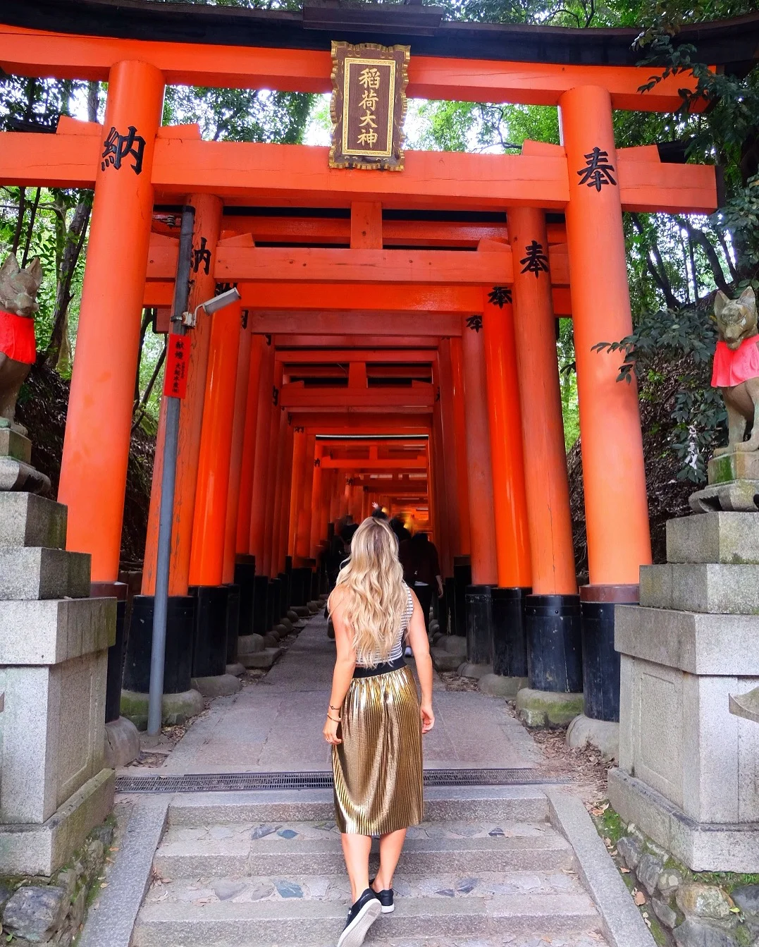 The endless torii gates at the Fushimi-Inari Shrine