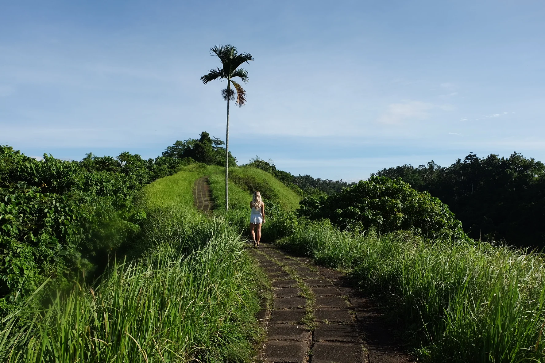 Walking the Campuhan Ridge Walk 
