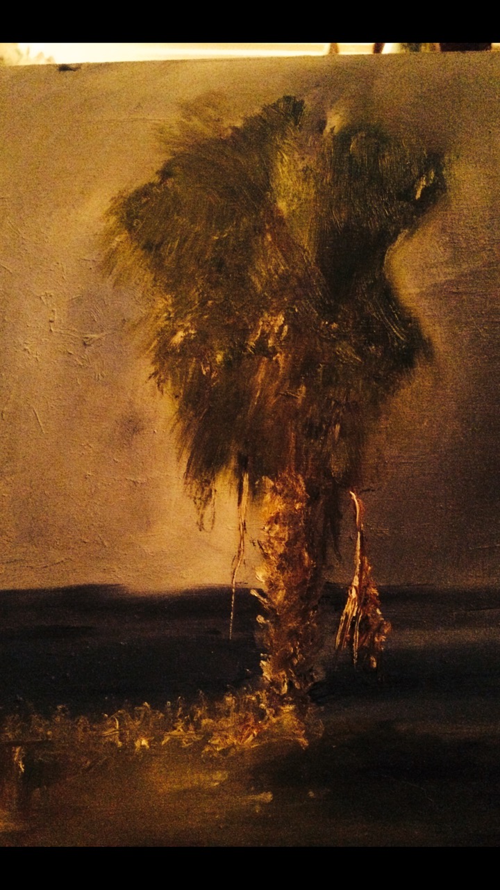 dark palm.JPG