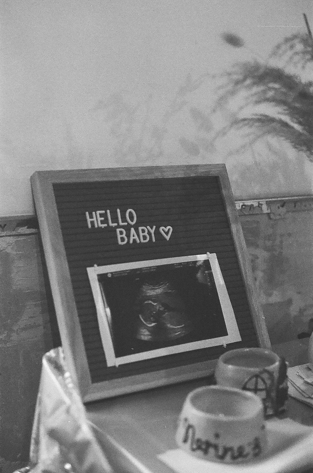 N+K Baby-17.jpeg