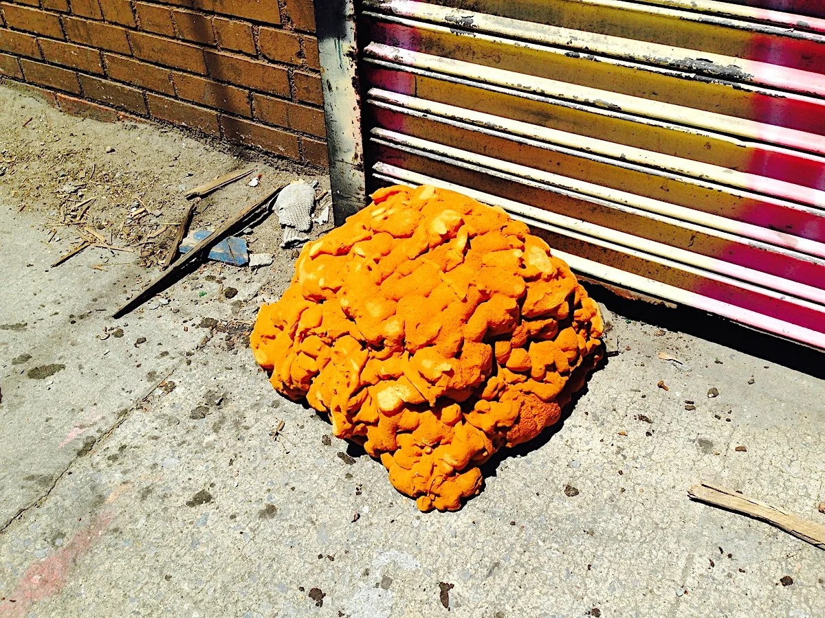  Brooklyn, NY, 2018 