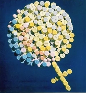 Synthetic Hormones and Nutrient Depletion