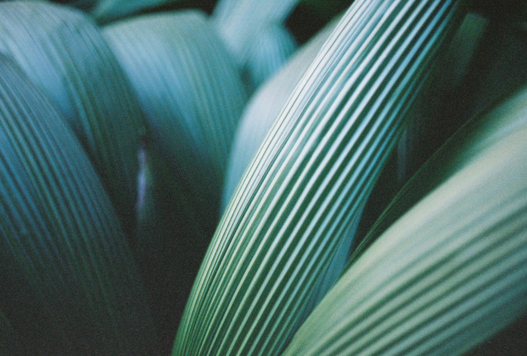 Photo 3.jpg