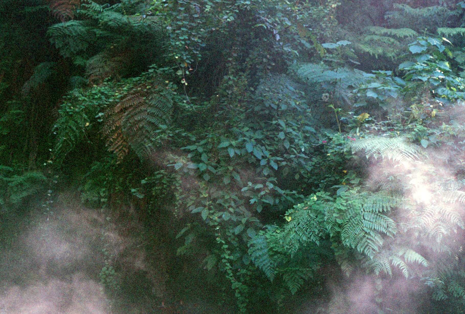 Photo 7.jpg