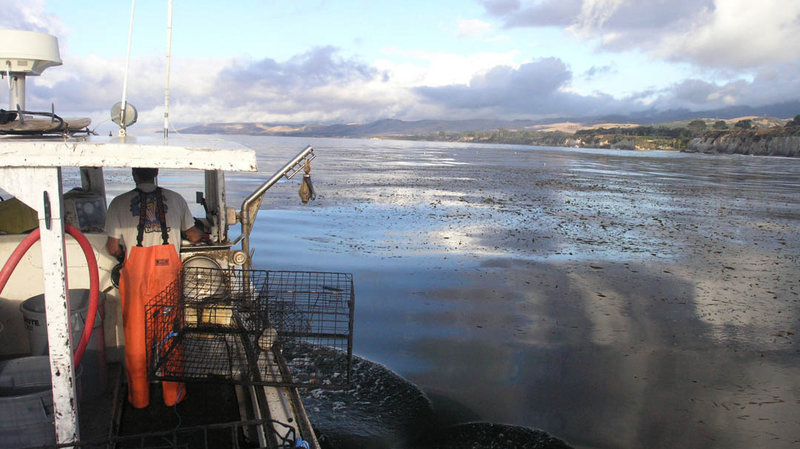 Courtesy of Sarah Rathbone/Community Seafood