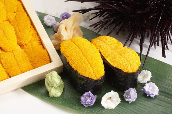 Urchin w p uni pic.jpg
