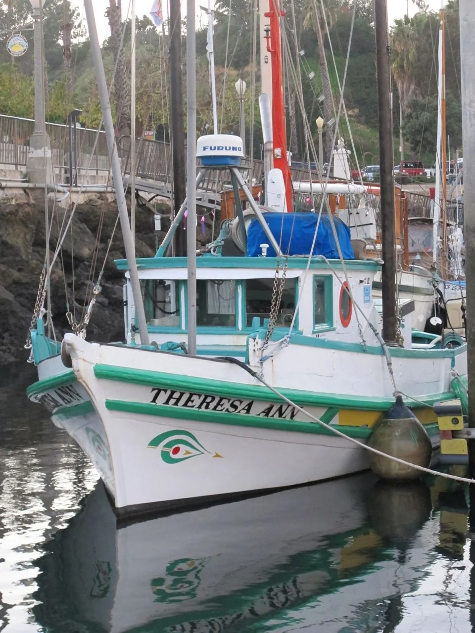 boat IMG_2840.jpg