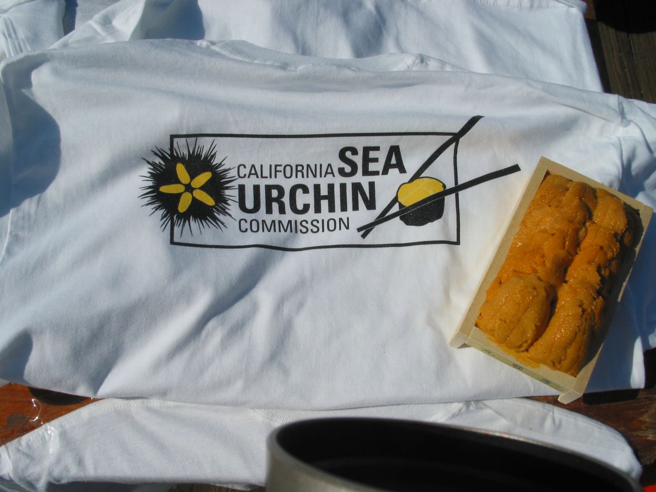 Urchin IMG_1027.jpg