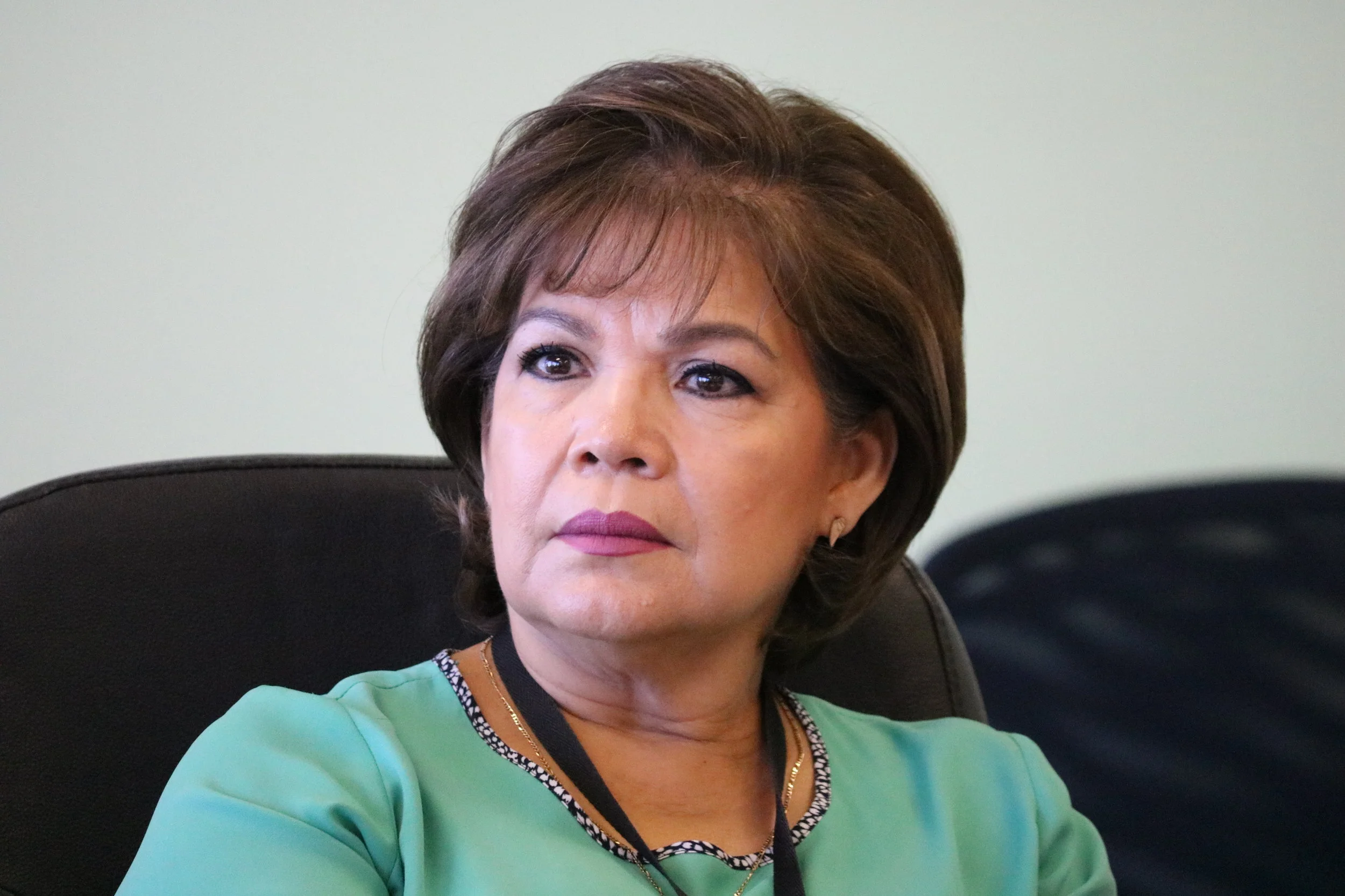 Rosa María Villarreal, Mavitravel