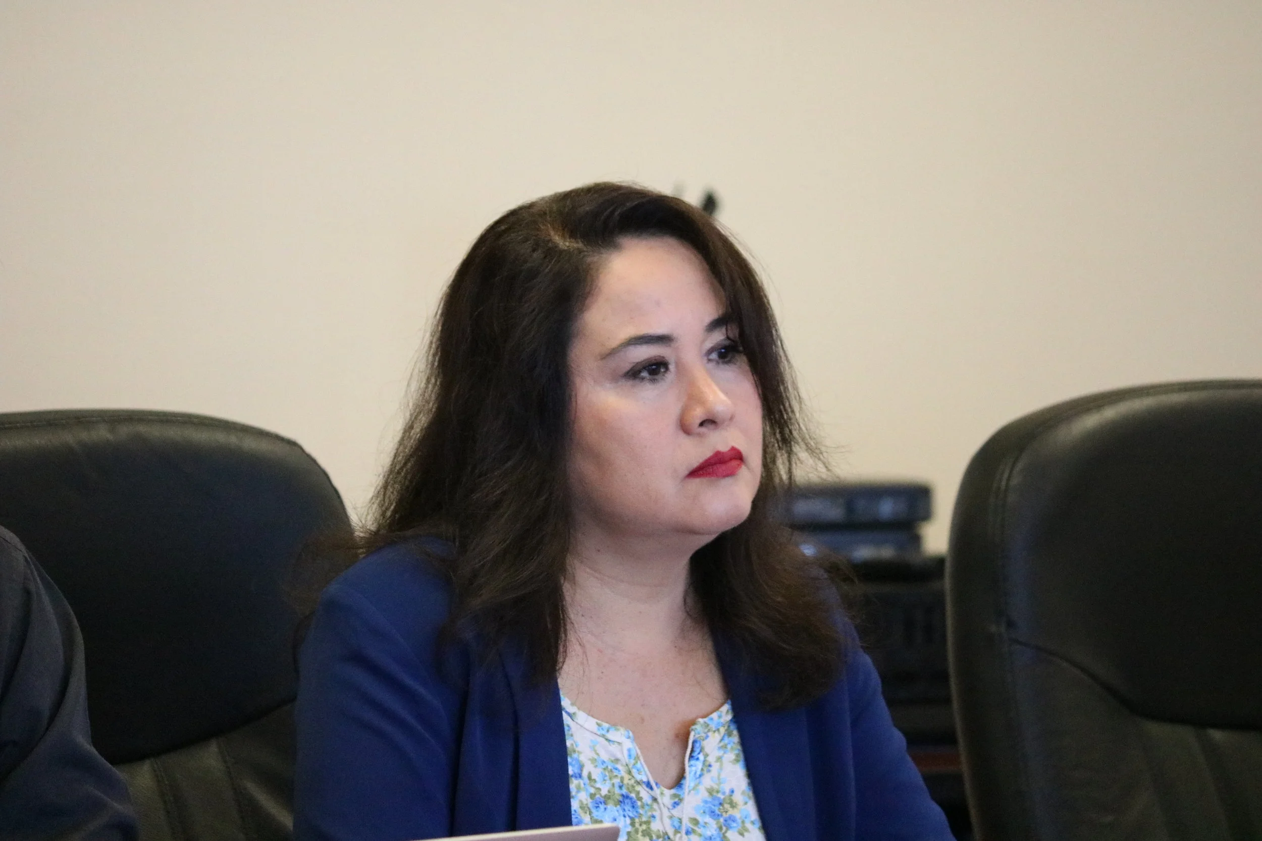 María Elena Robles, Investigador Unison