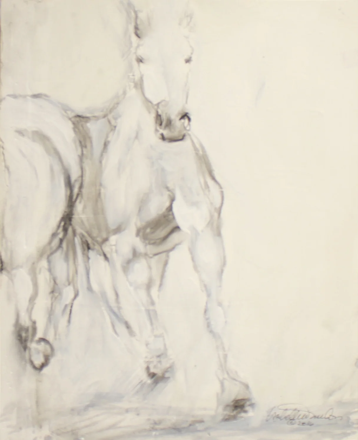 Camargue No.5,