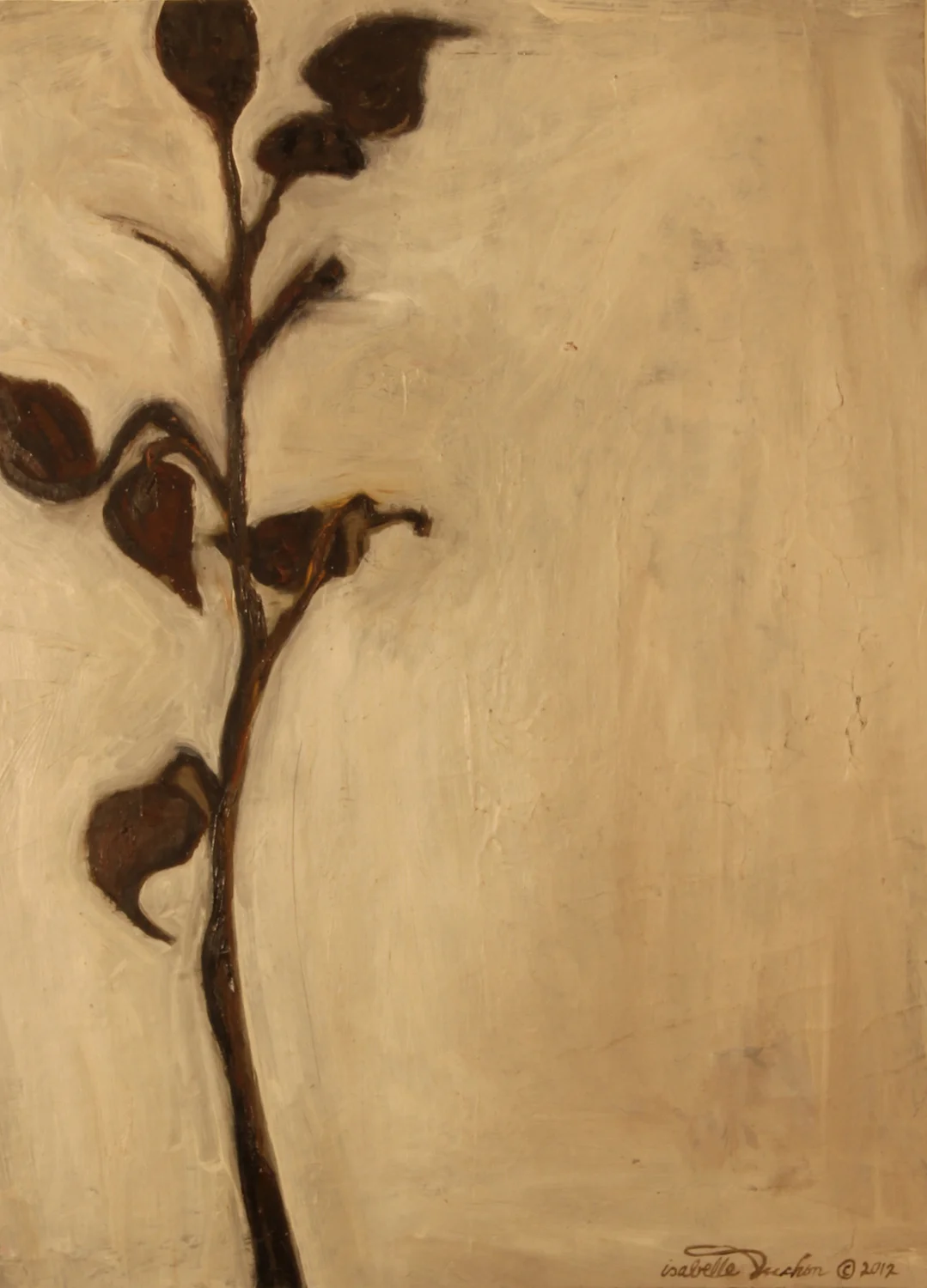 Milkweed Study
