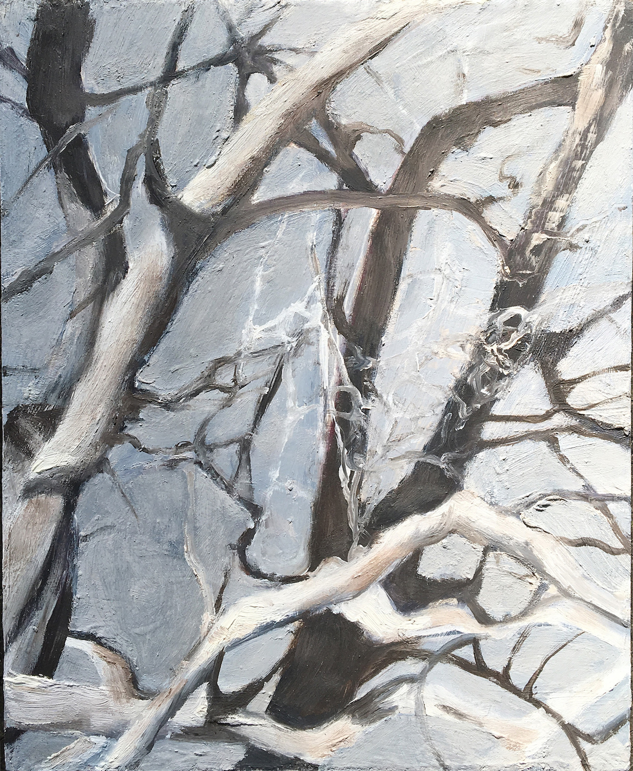 SYCAMORE IN WINTER NO.2