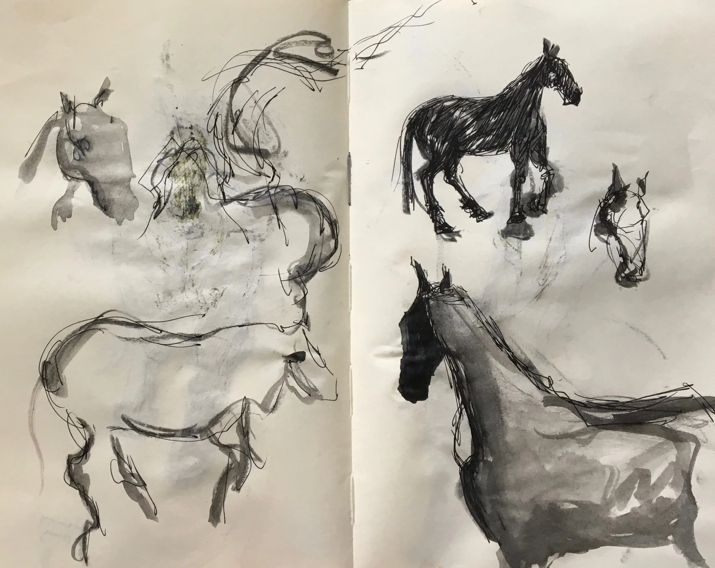 Sketching...