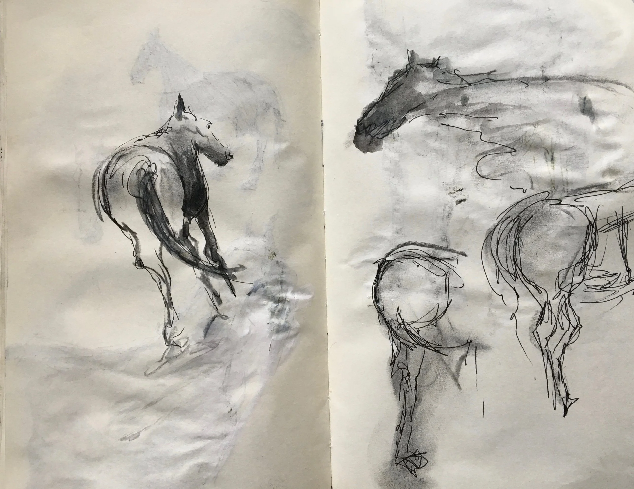 Sketching more...