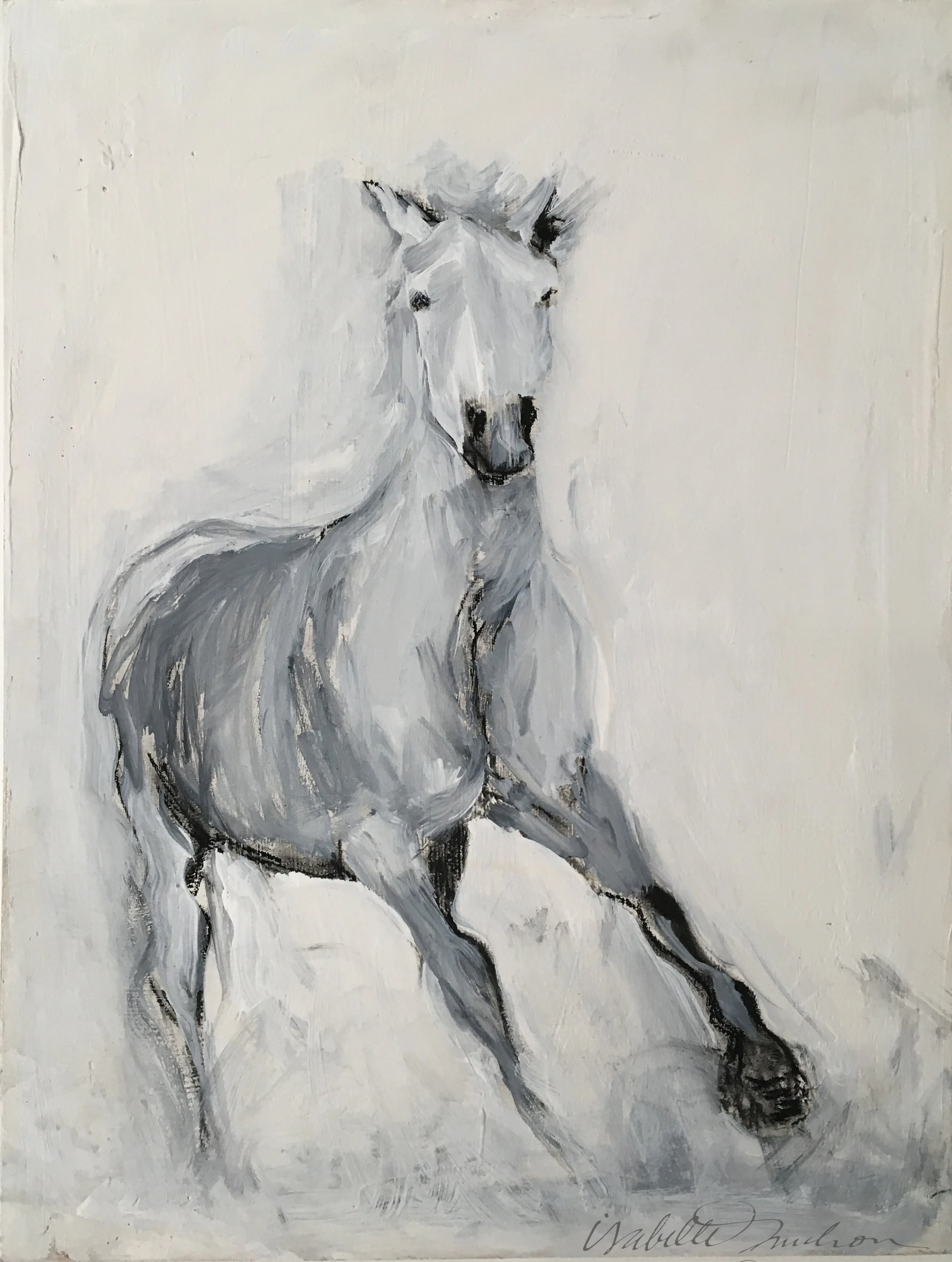 HORSE SKETCH 1