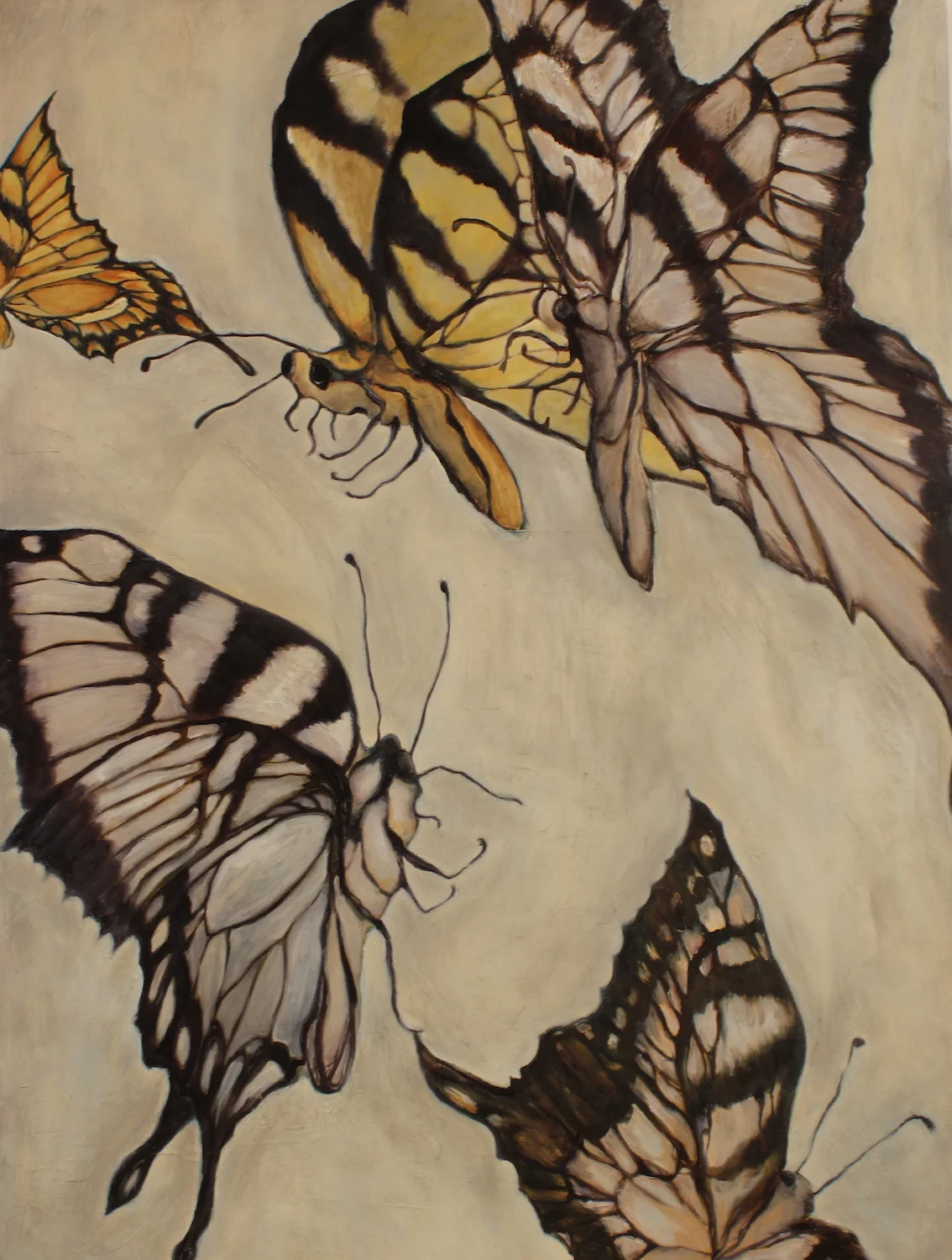 CONGLOMERATE OF BUTTERFLIES