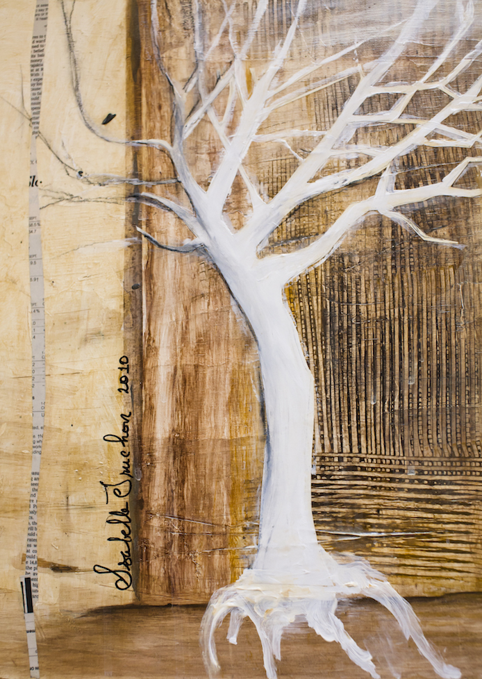 ROOTED