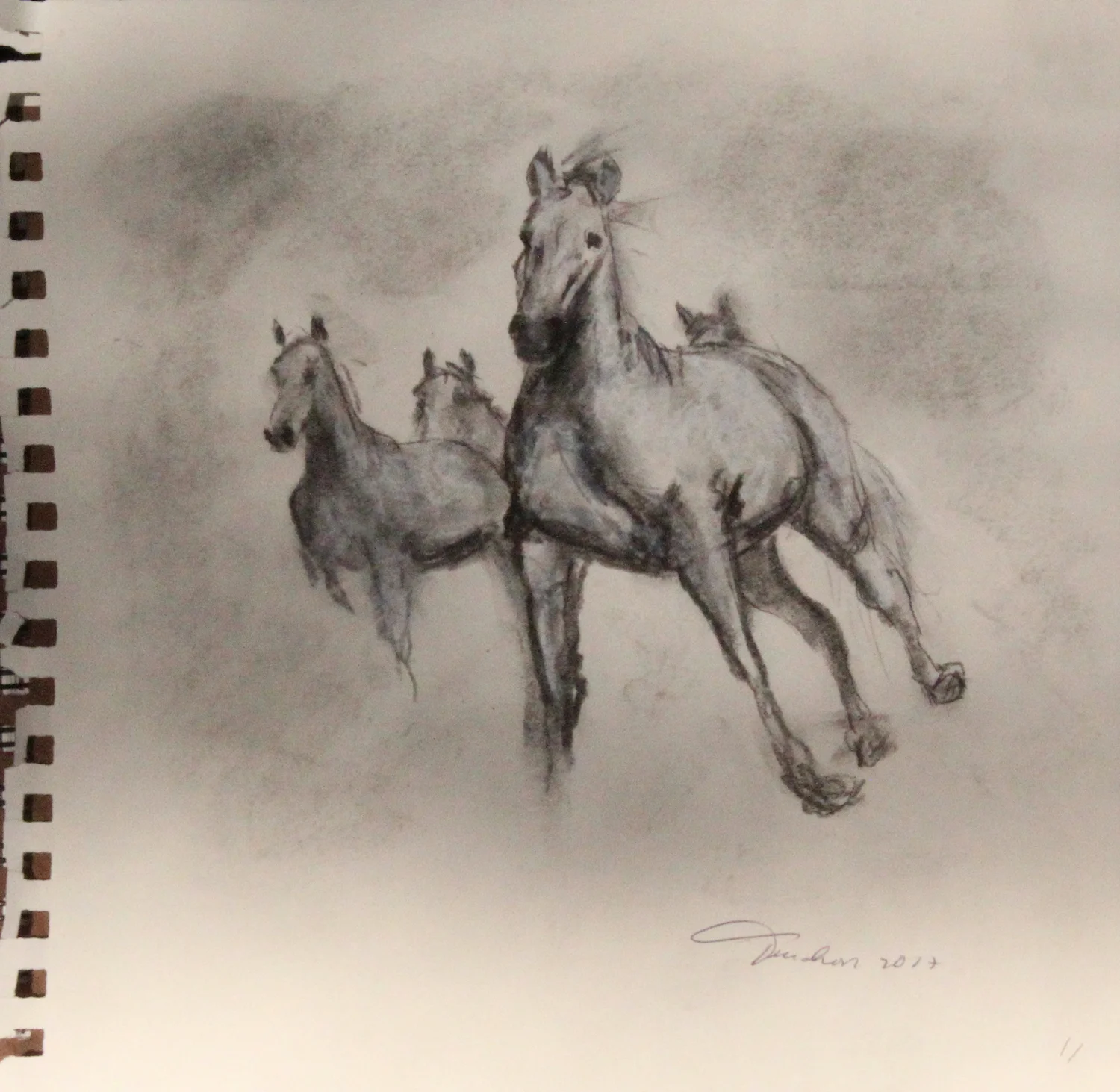 SKETCH HORSE 16