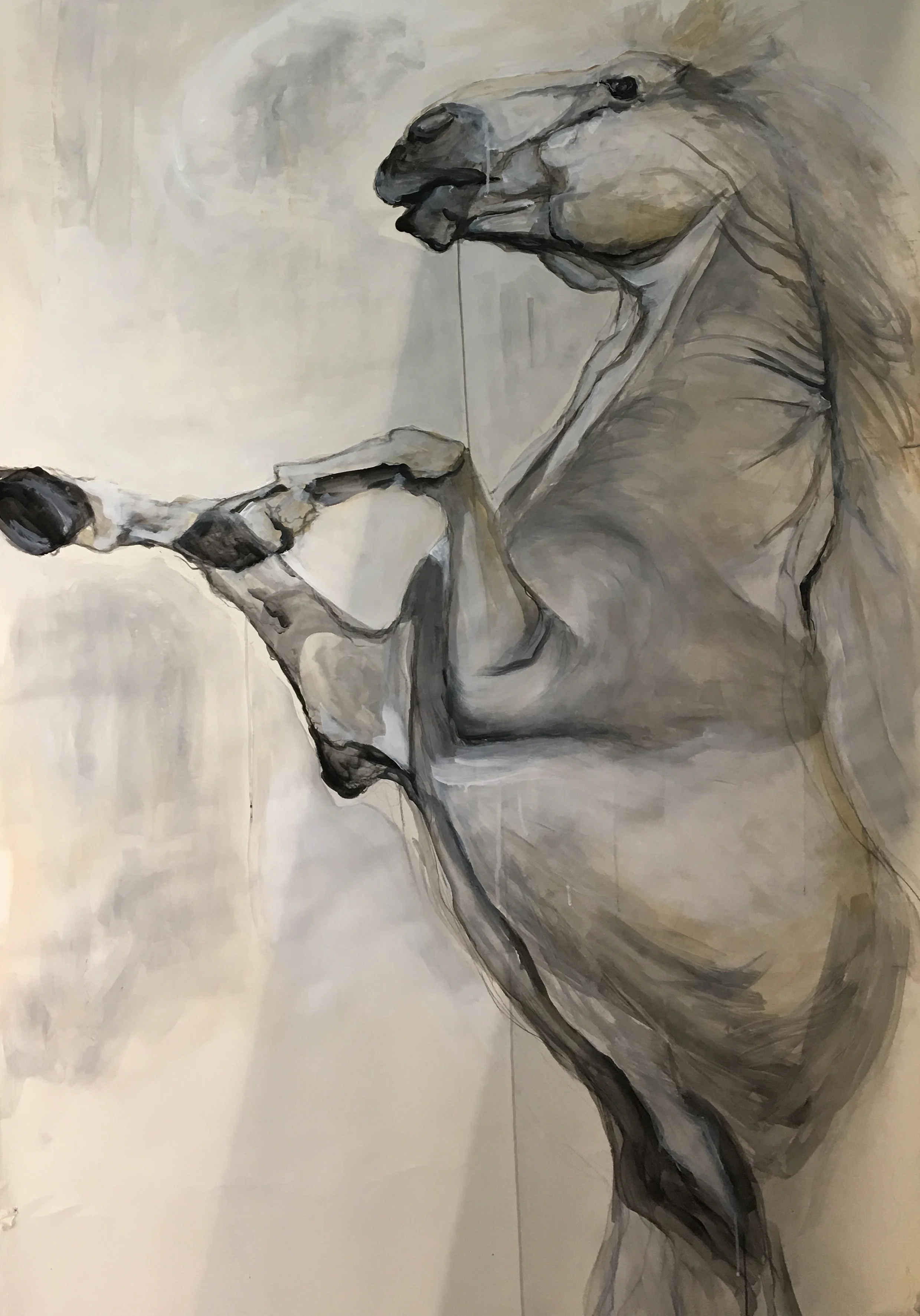 STUDY OF STALLION NO. II