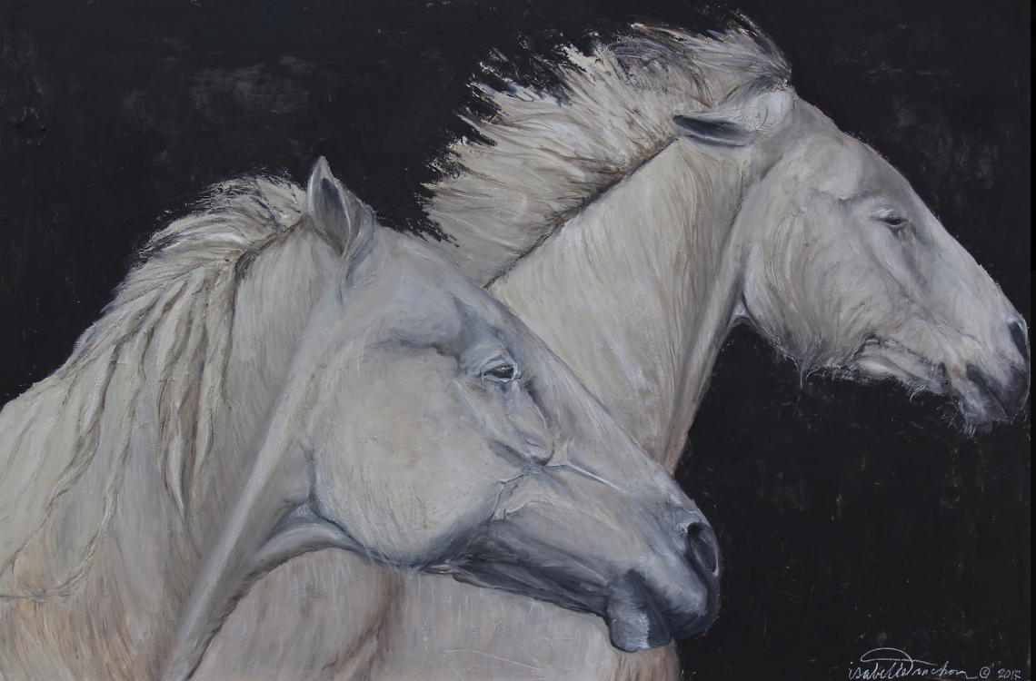 Night Gallop