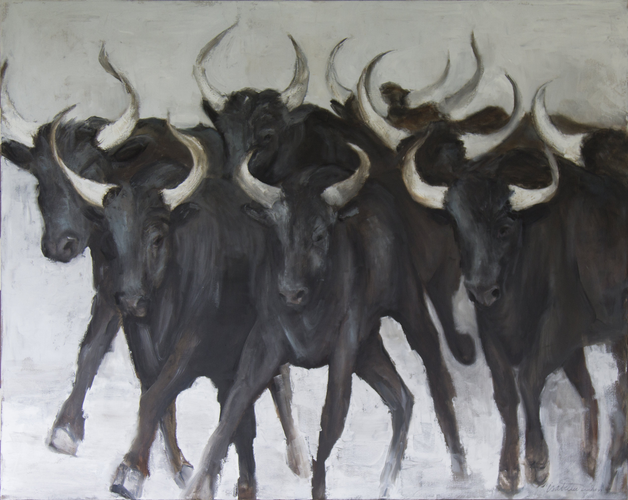 bulls1.jpg