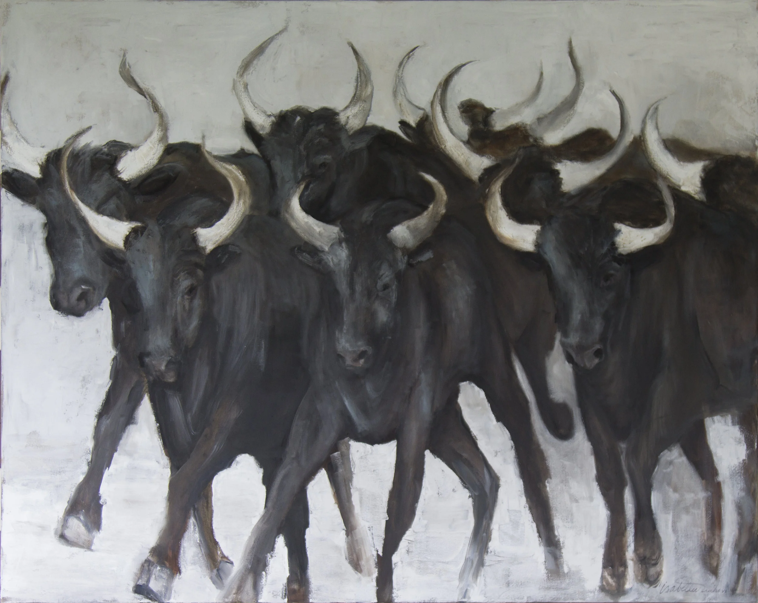 bulls1.jpg