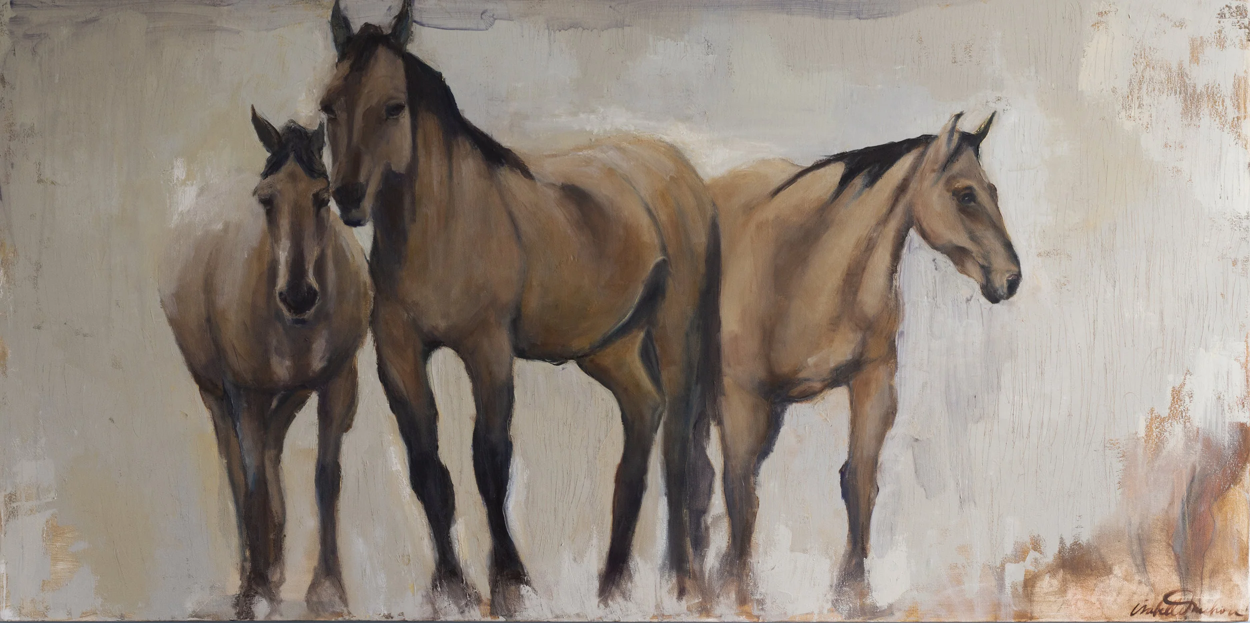 THREE HORSES STARING