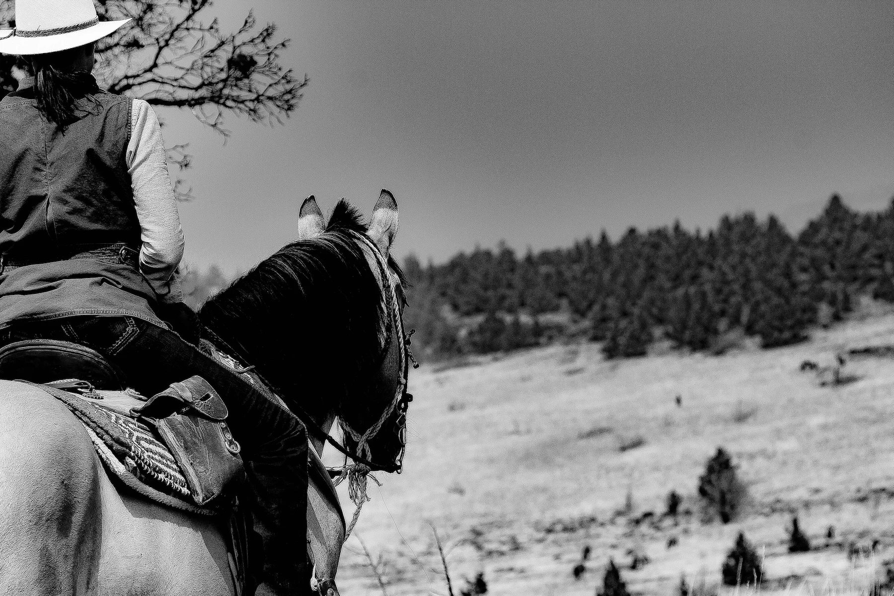 Isabelle on horse copy.jpg
