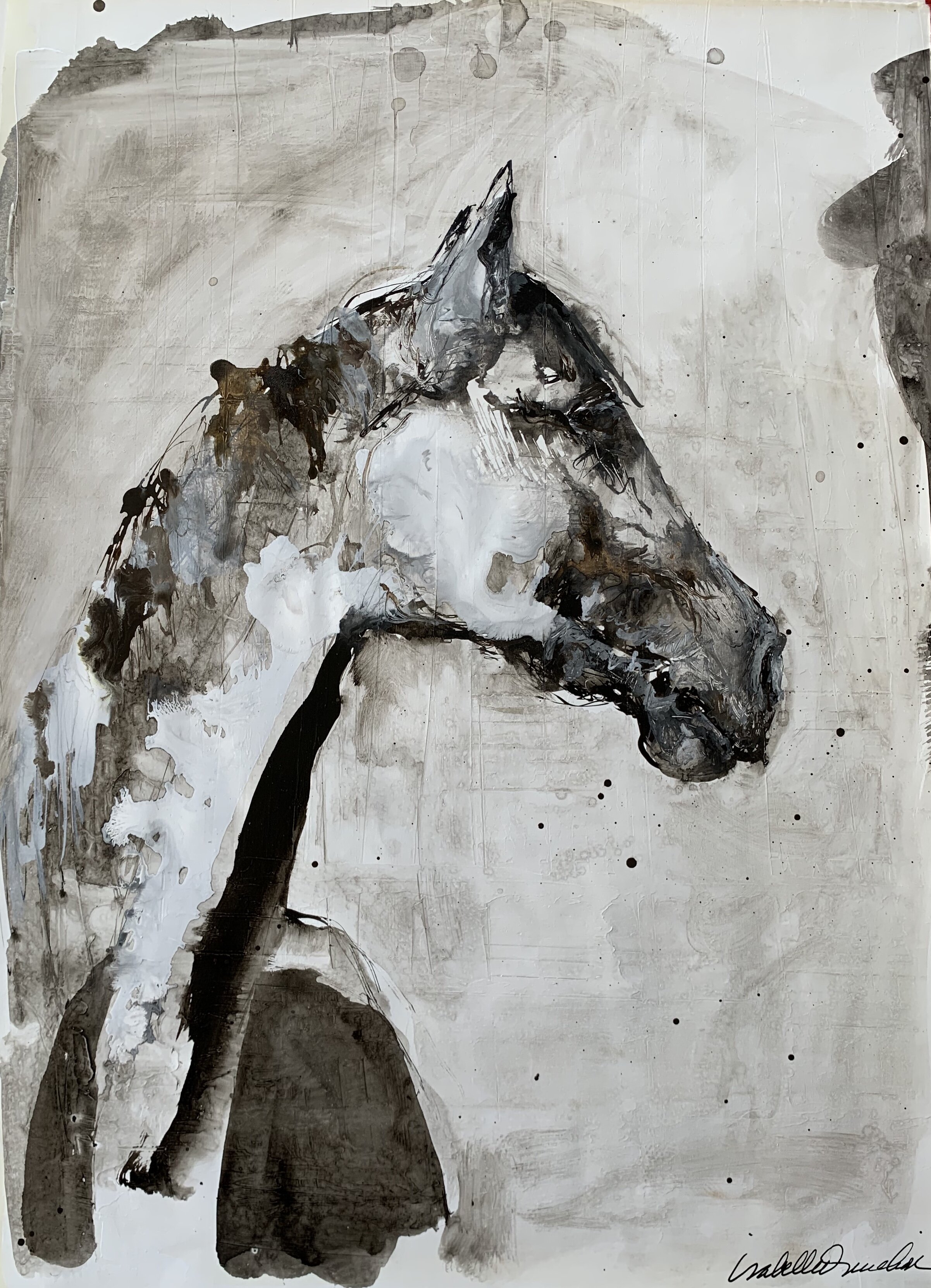 Horse in Profile, Study in Ink