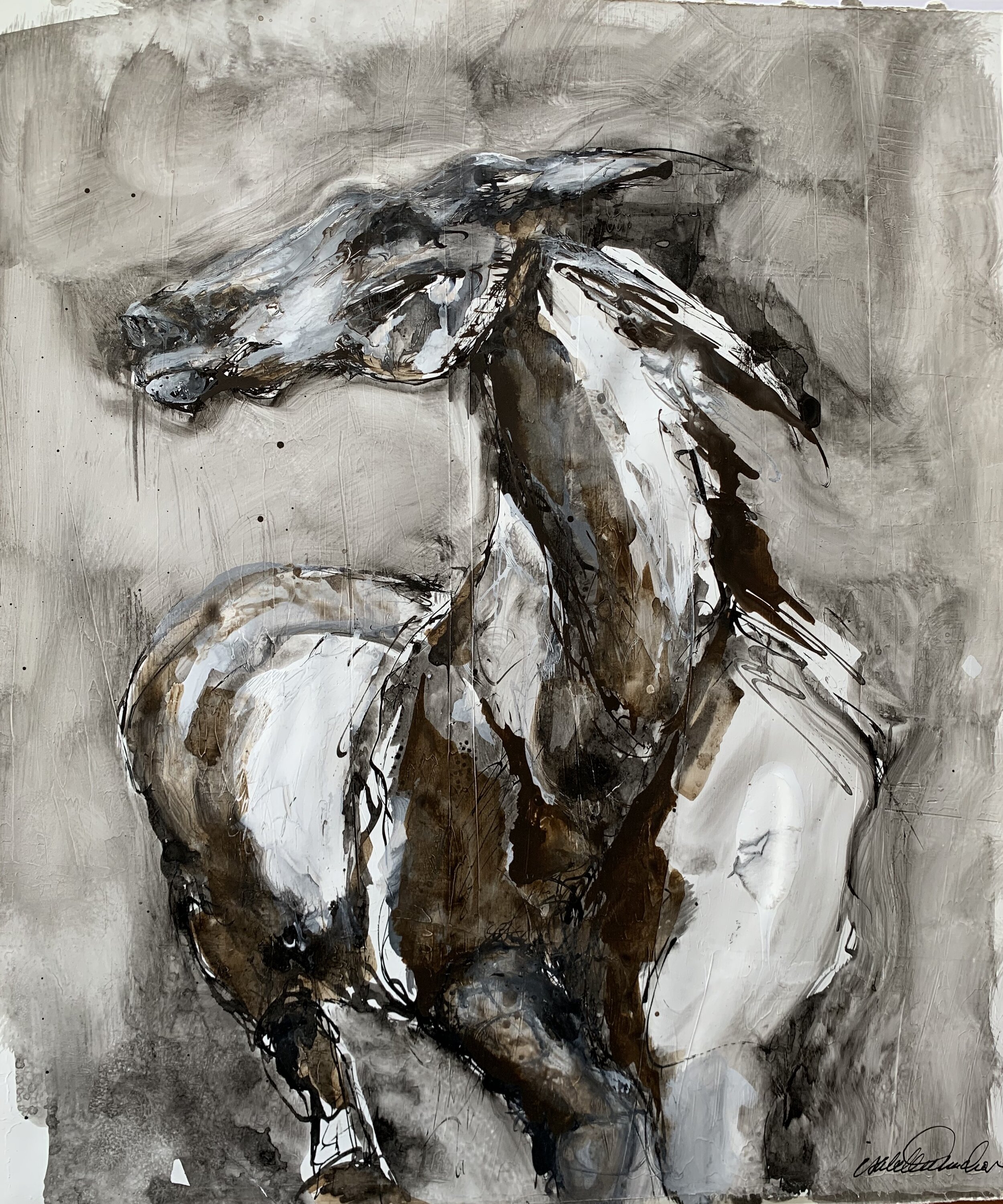 Wild Horse Portrait, Study in Ink